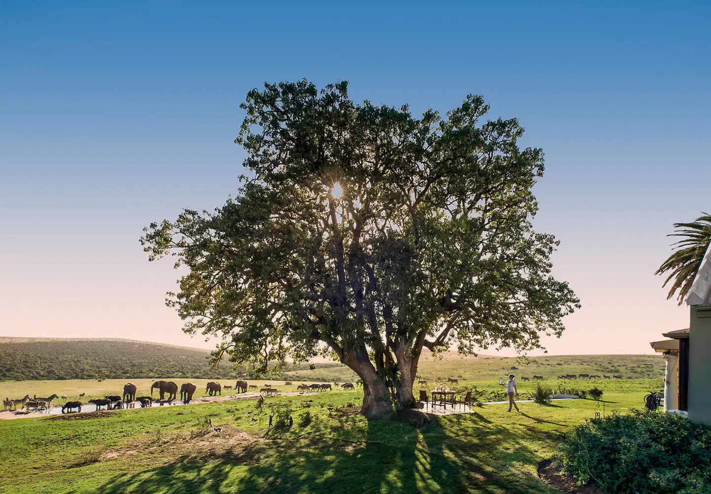 Gorah Elephant Camp Landschaft