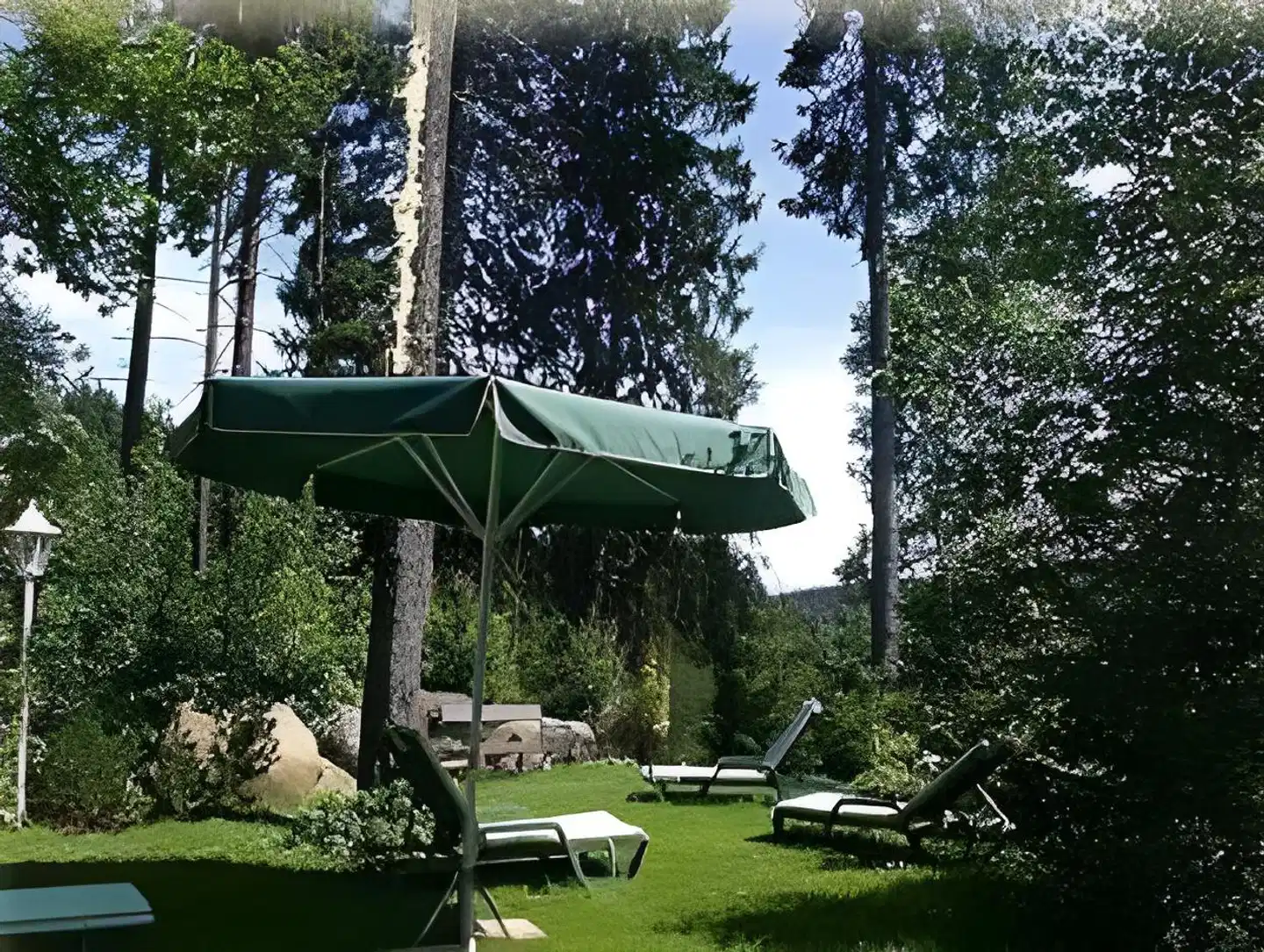 Grüne Tanne Garten