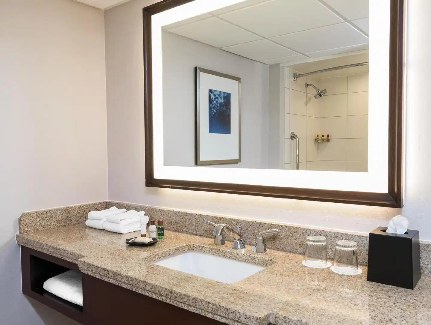 Sheraton Memphis Downtown Hotel Badezimmer