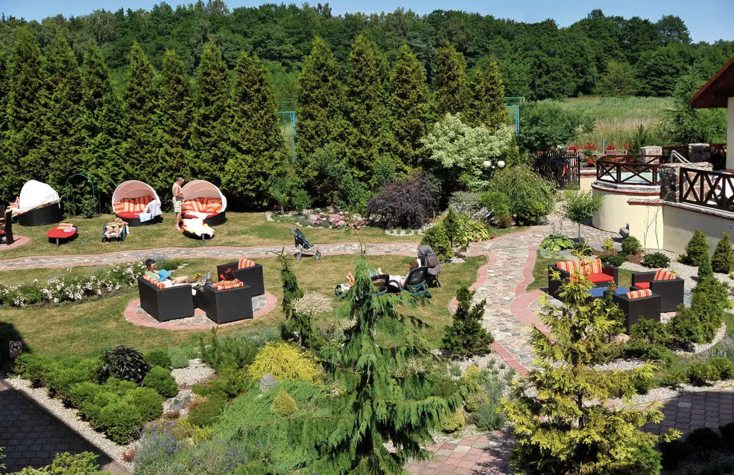 Kormoran Landschaft