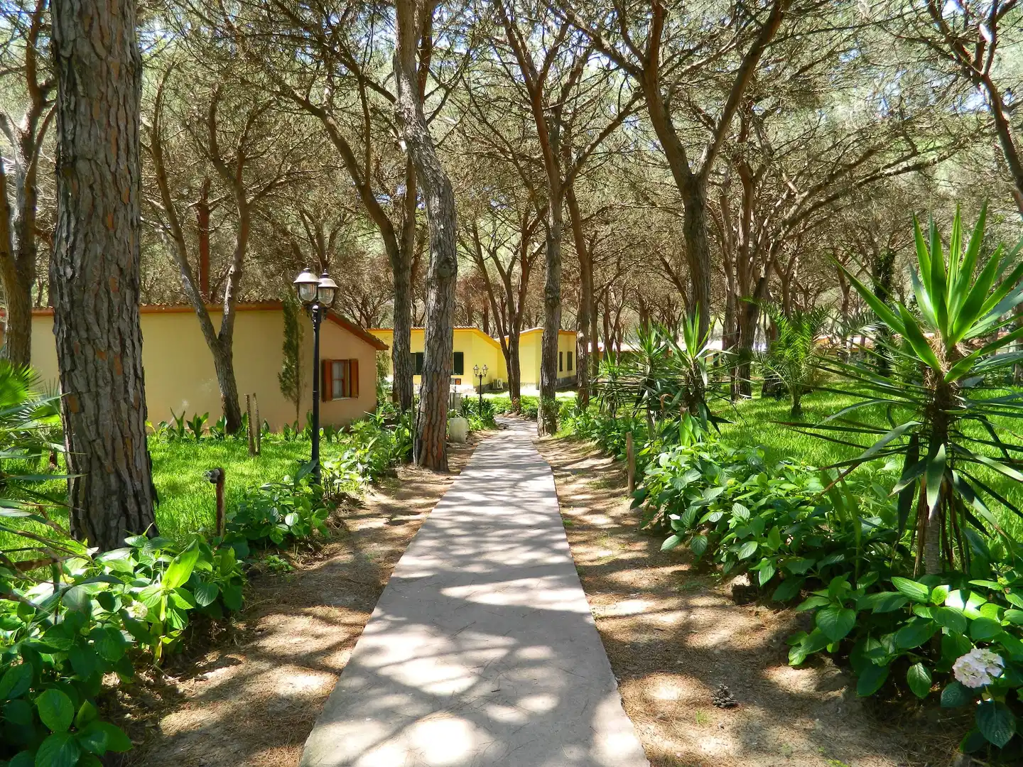 Horse Country Resort Congress & Spa Garten