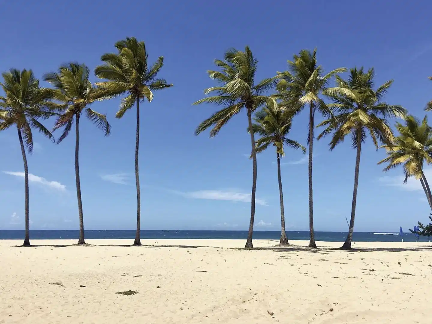 Emotions by Hodelpa Puerto Plata Strand