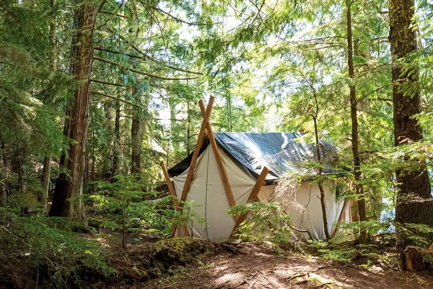 Orca Camp hautnah Garten