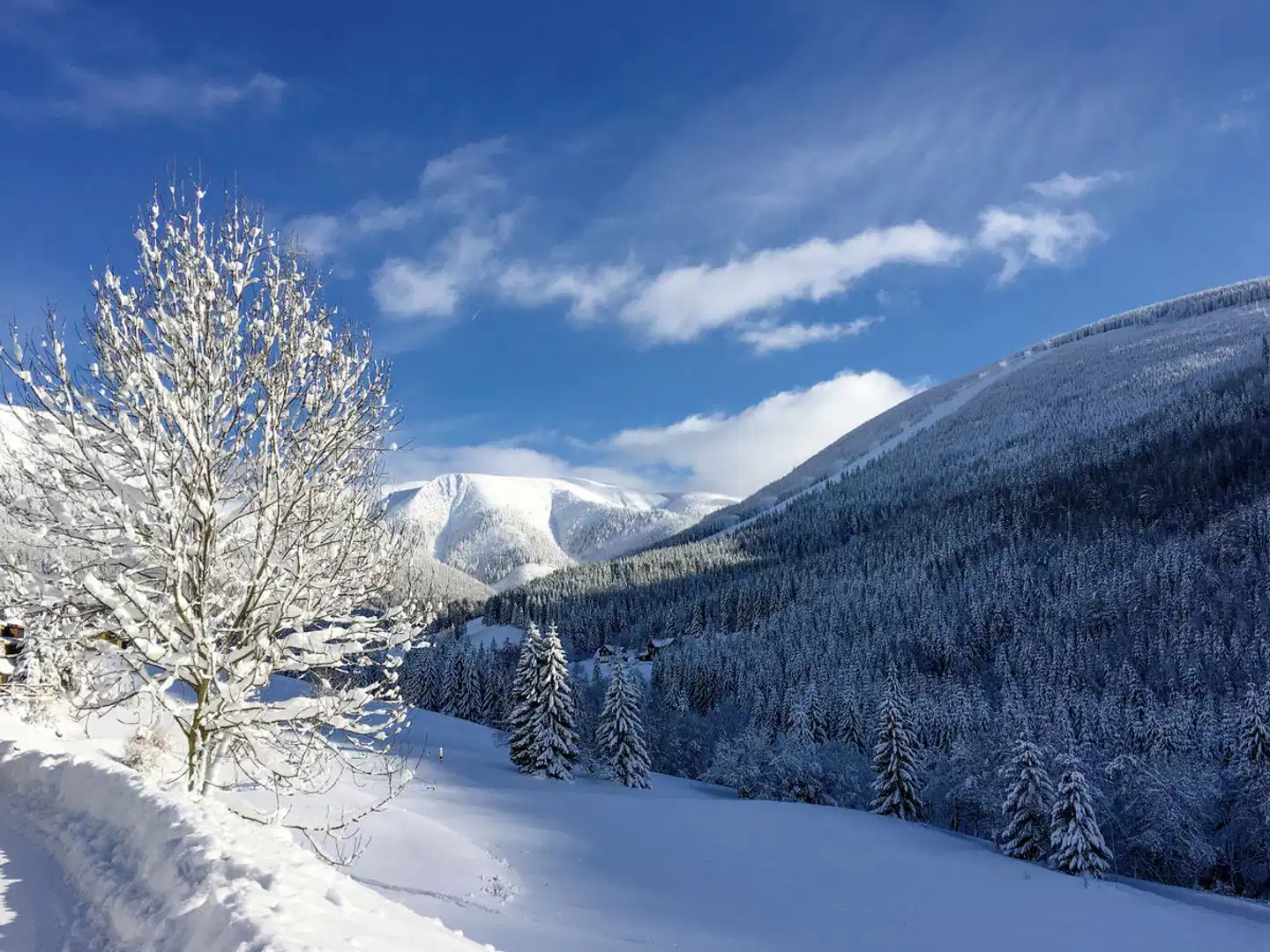Alpsky Hotel Landschaft