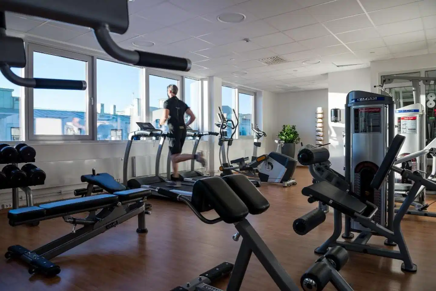 Birger Jarl Sport und Entertainment