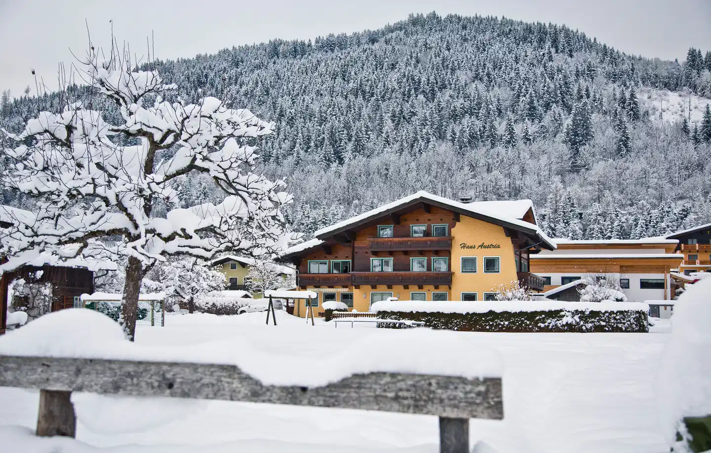 Haus Austria Aussenansicht