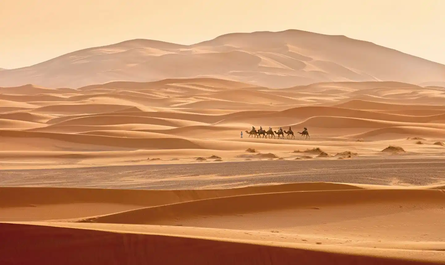 Faszination aus 1001 Nacht (Privatreise ab/bis Marrakesch) Landschaft