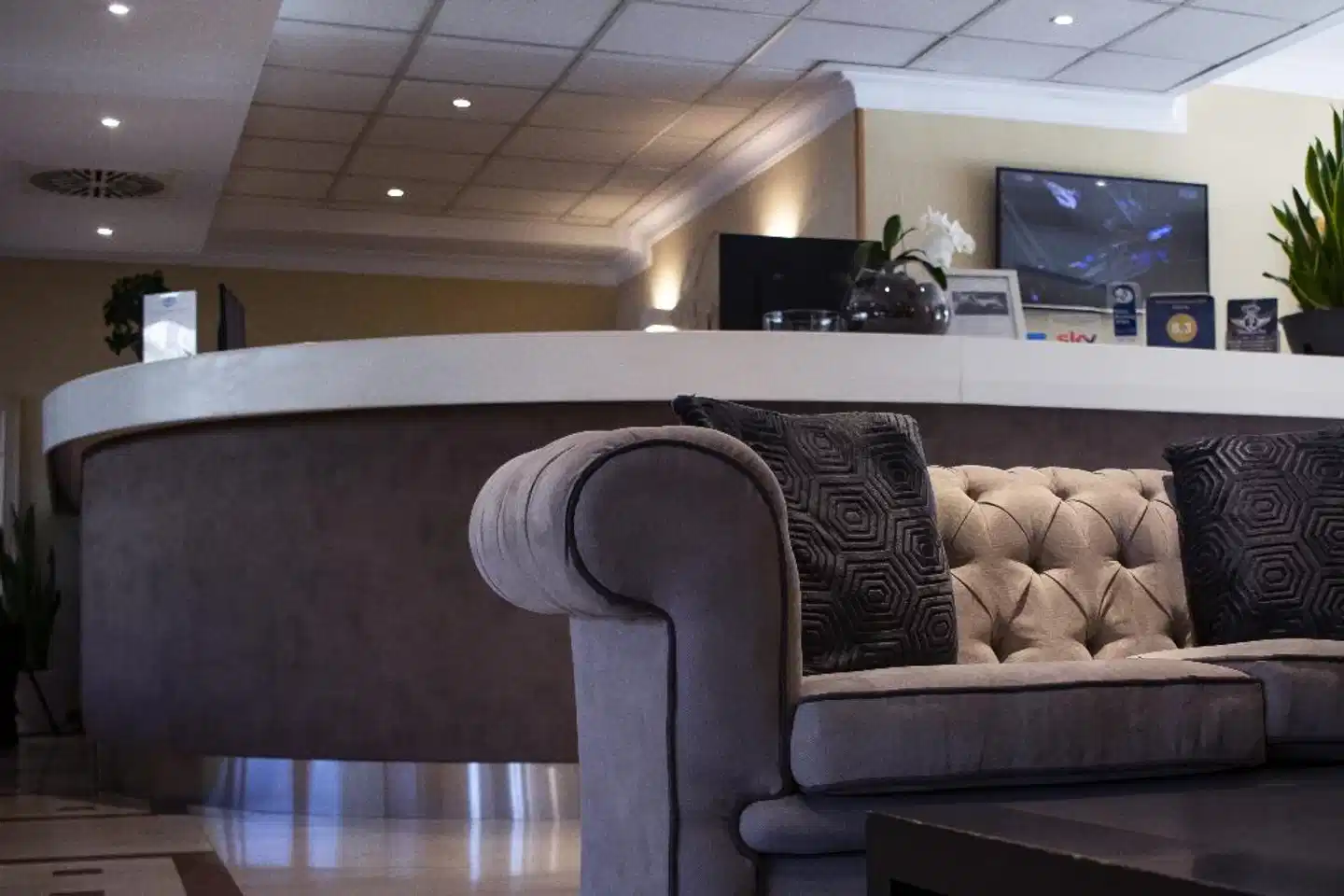 Oly Lobby