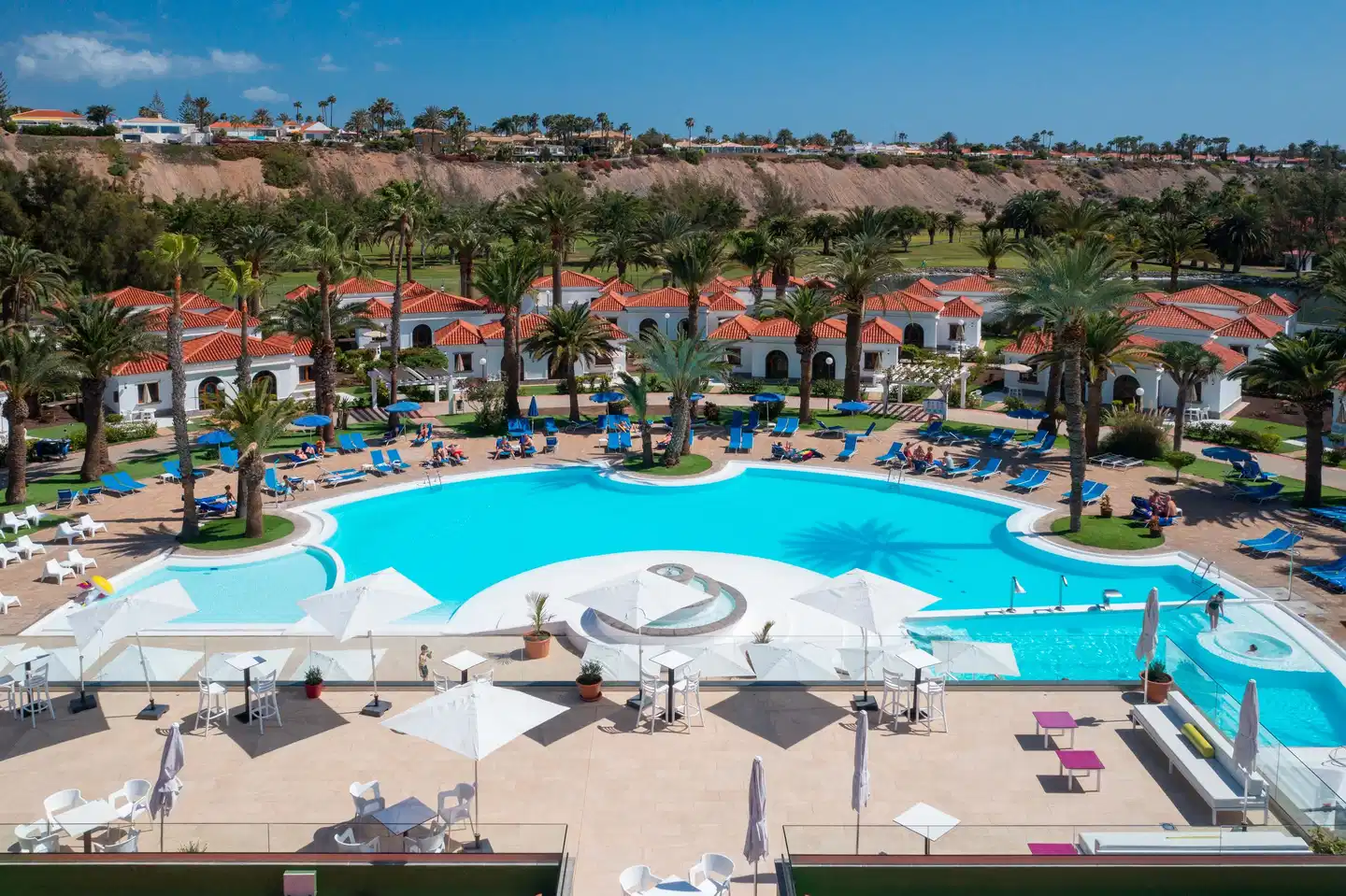Suite Hotel Jardin Dorado Pool