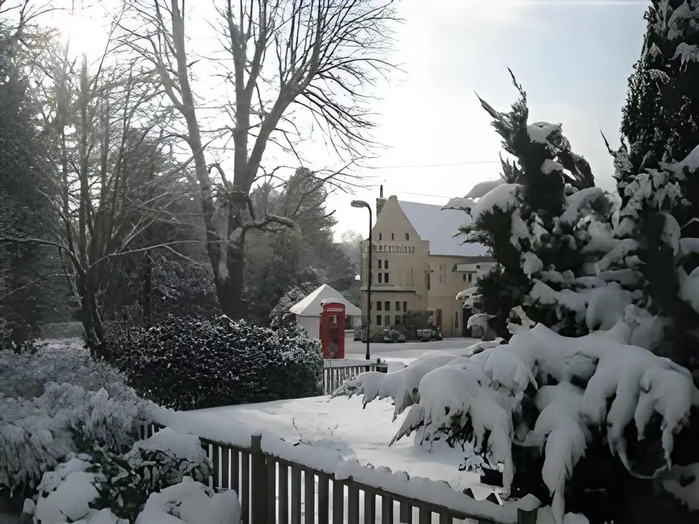 Woolpack Inn Tiere