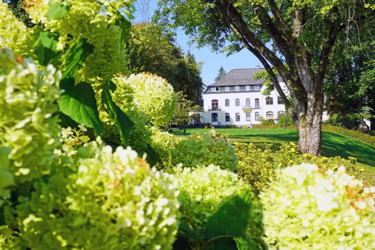 Dorint Parkhotel Siegen Garten