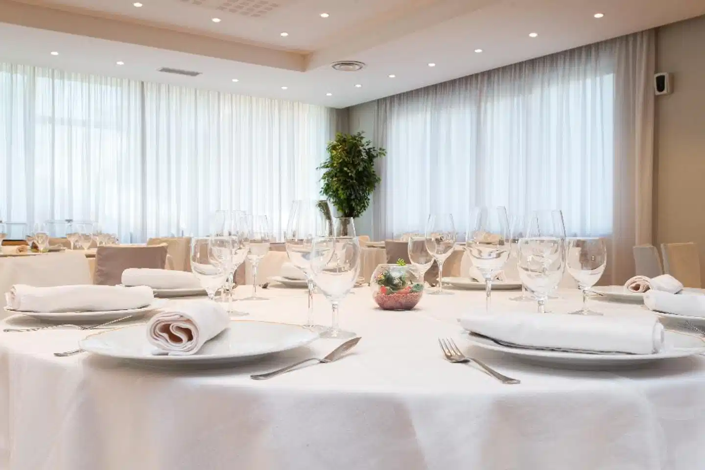 San Francesco Konferenz