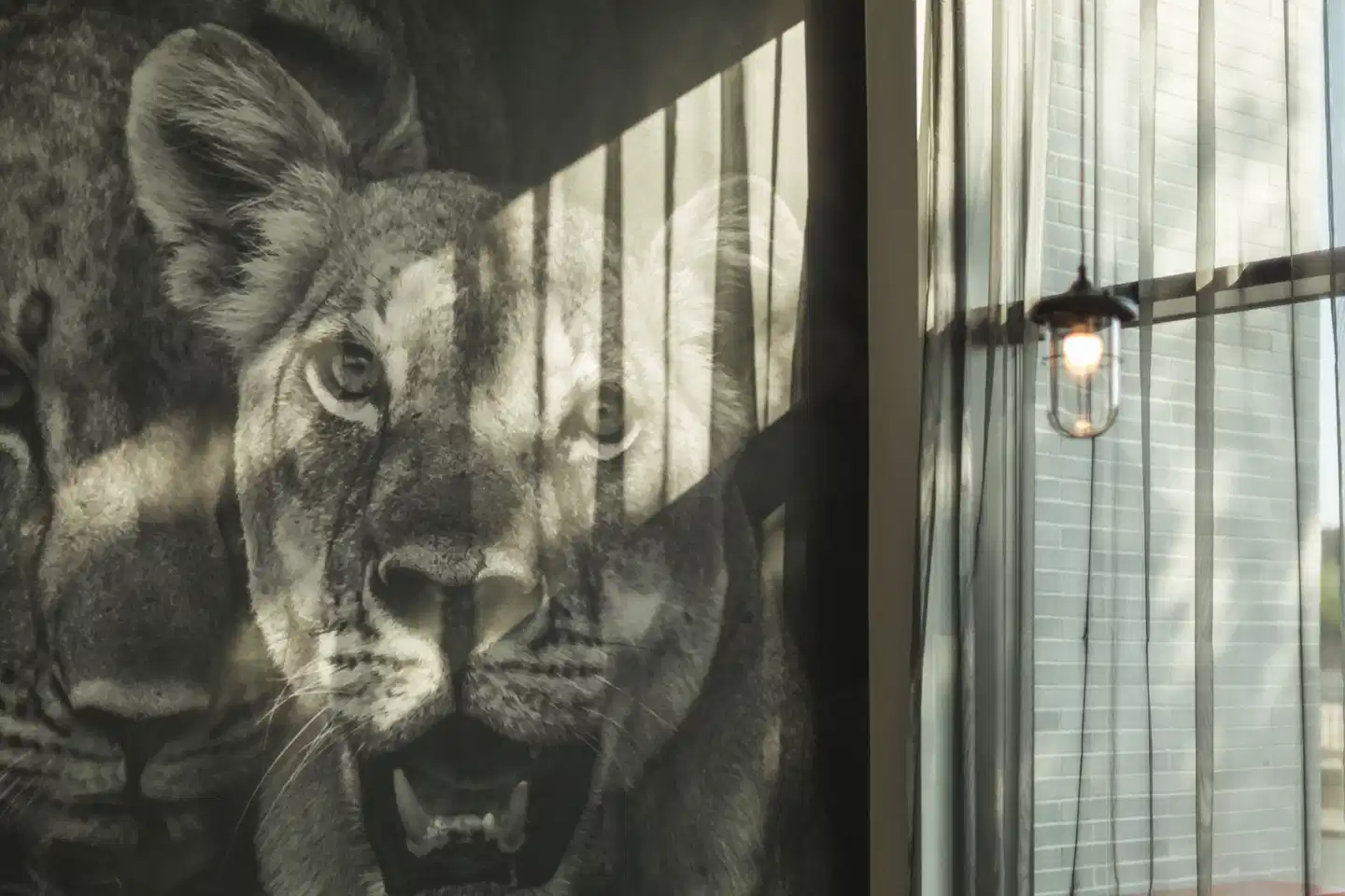 the niu Leo Tiere