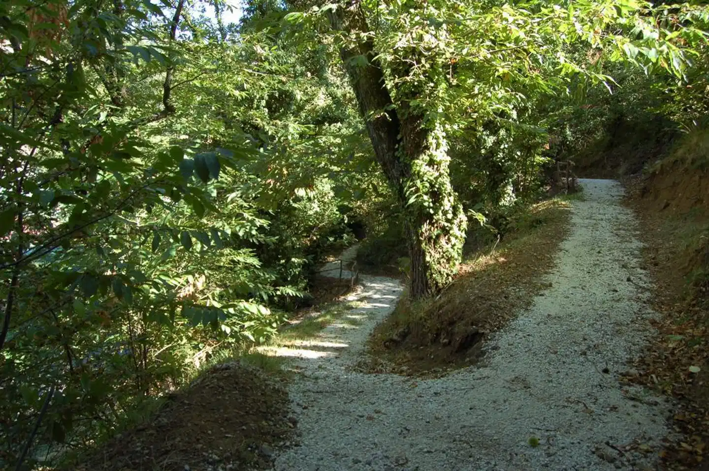 Balletti Park Hotel Landschaft