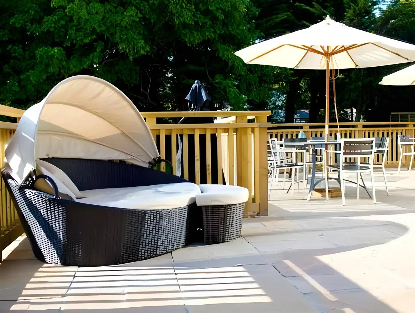 The Bear of Burton Terrasse