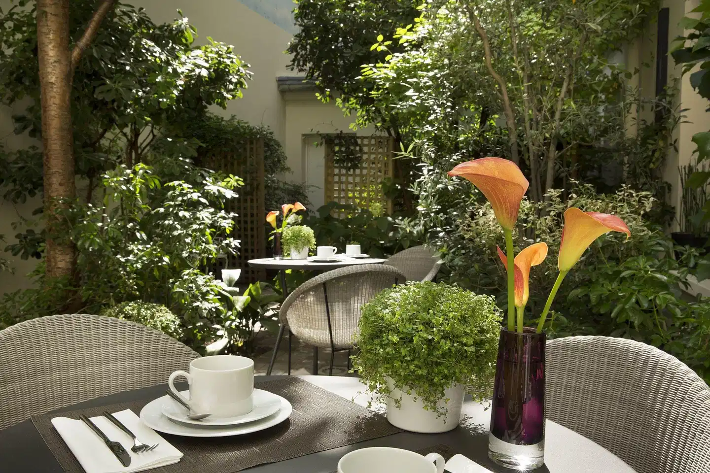 Hôtel A La Villa des Artistes Terrasse