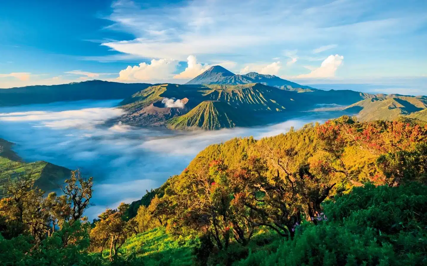 Die Wiege Indonesiens Landschaft