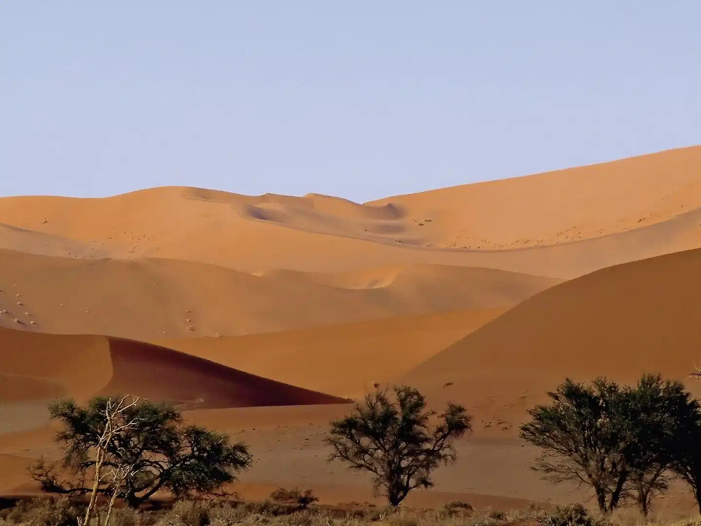 Abenteuer Namibia Landschaft