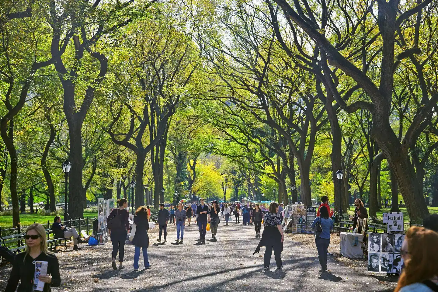 The Gardens Sonesta ES Suites New York Sport und Entertainment