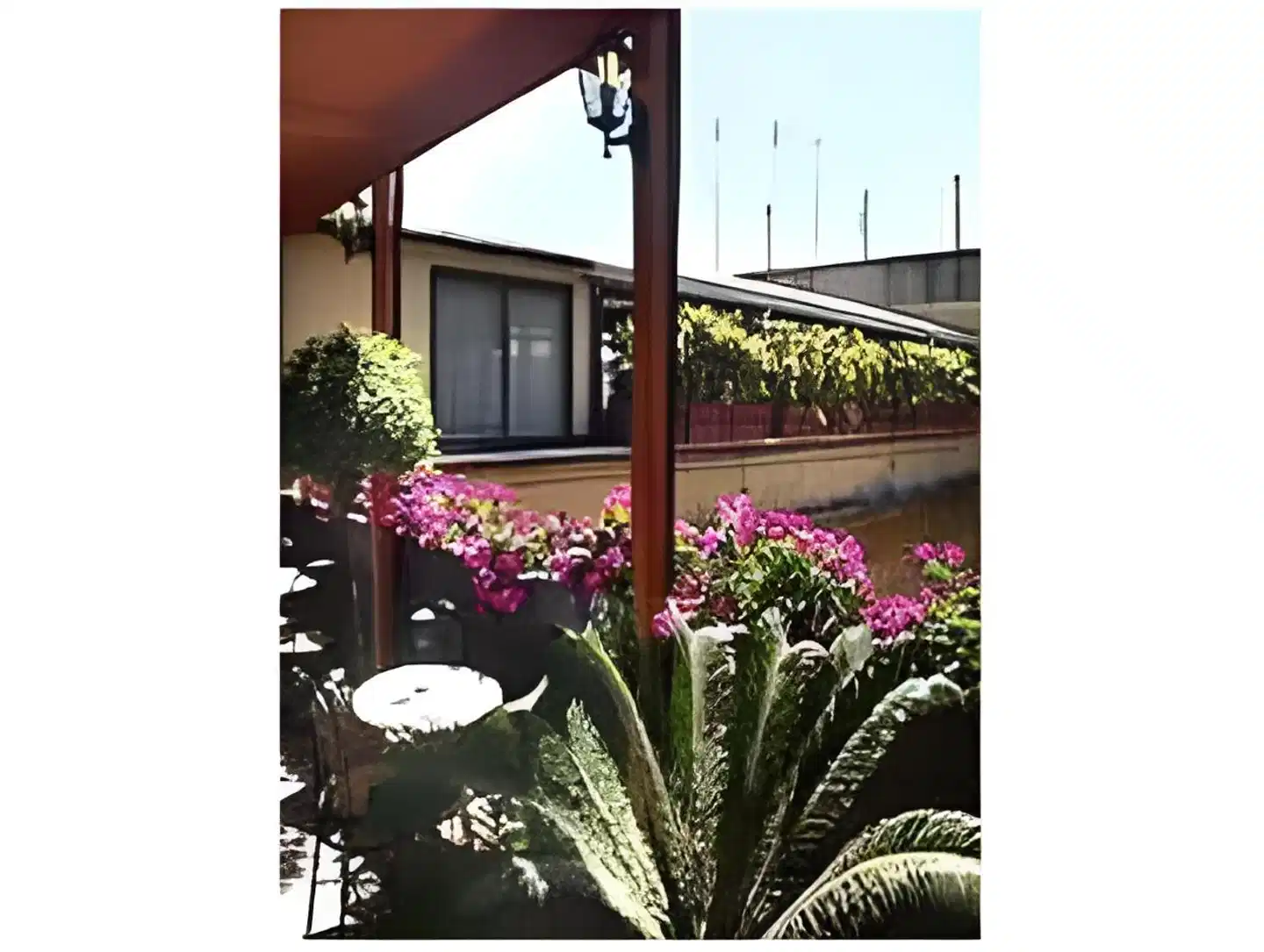 Nardizzi Americana Terrasse
