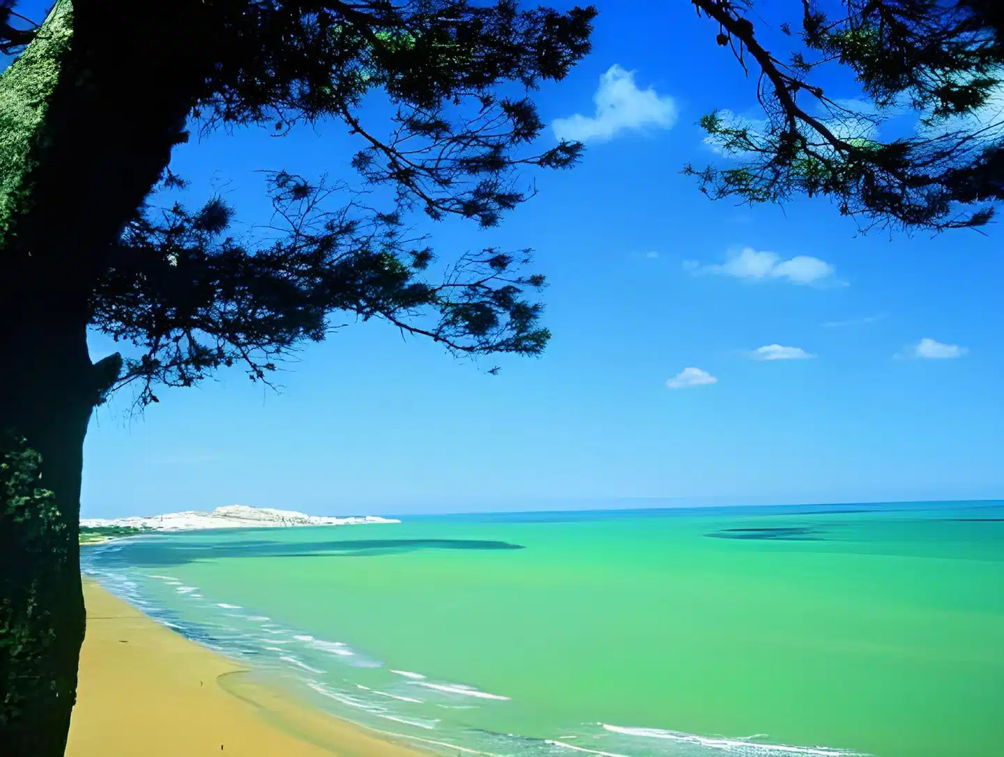 Degli Aranci Strand