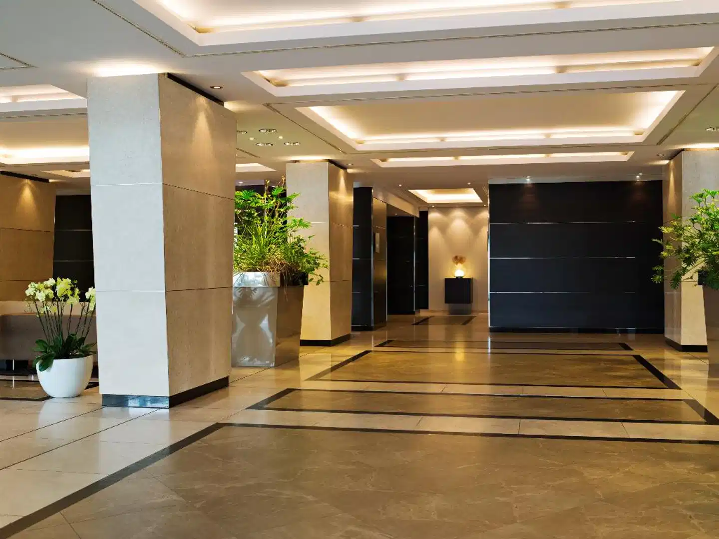 Occidental Dresden Newa Wellness