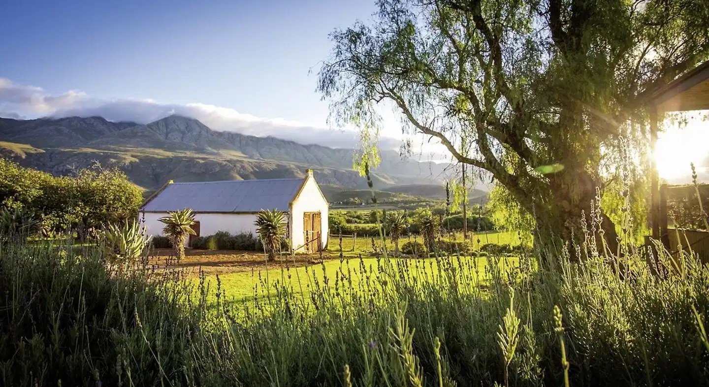 Swartberg Country Manor Landschaft