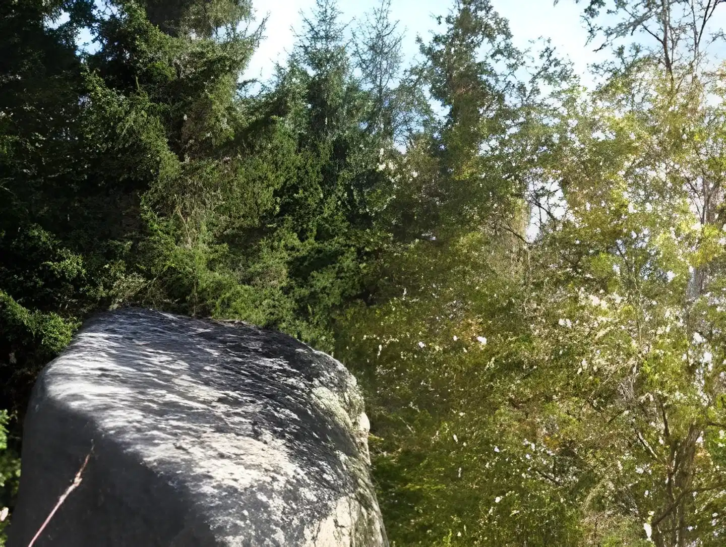 Schloßblick Landschaft
