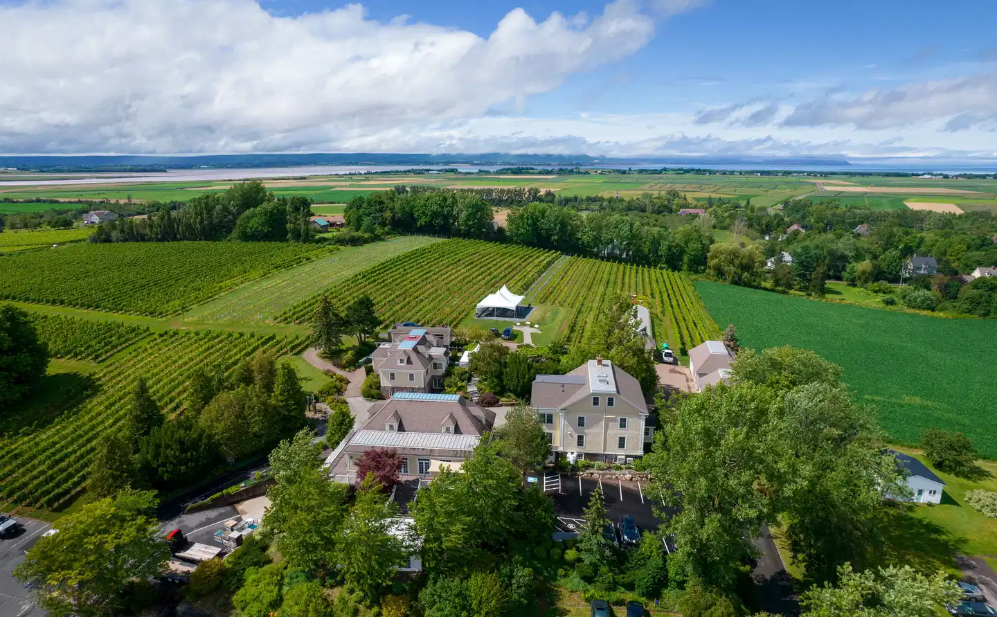 The Inn at Grand Pre Winery Landschaft