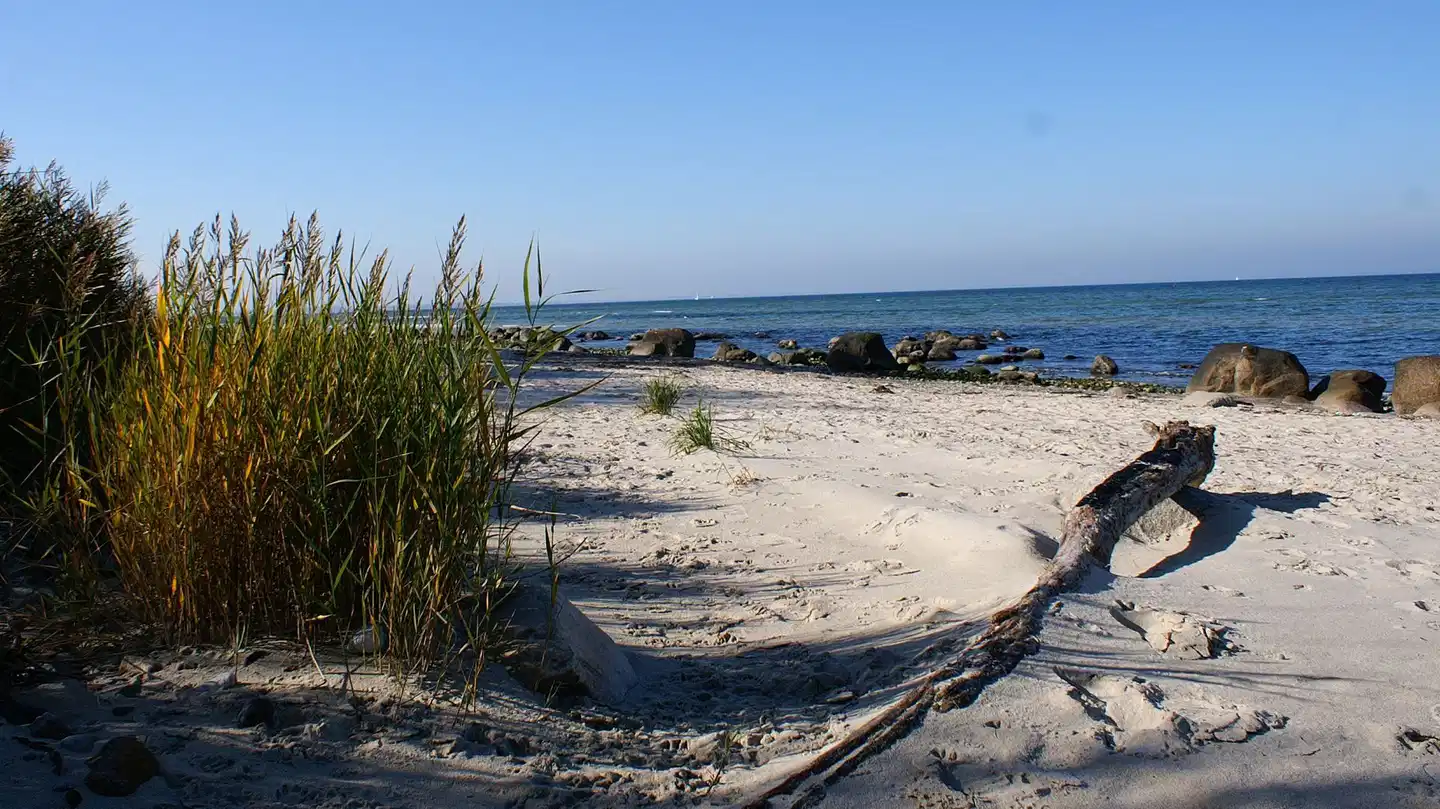 Country Inn & Suites Timmendorfer Strand Strand