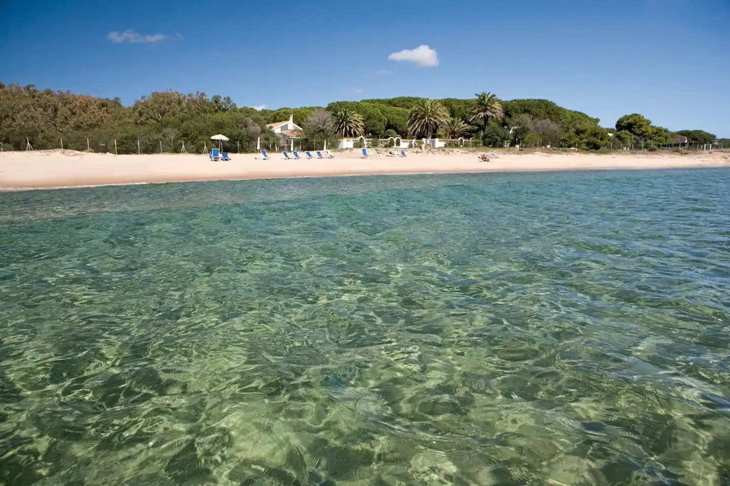 Mare Pineta Strand