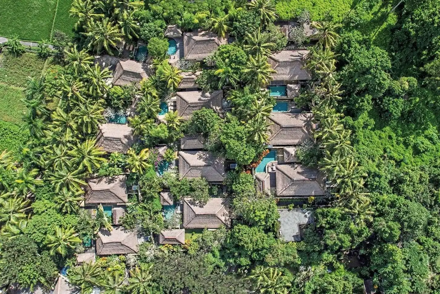 The Ubud Village Resort & Spa Landschaft