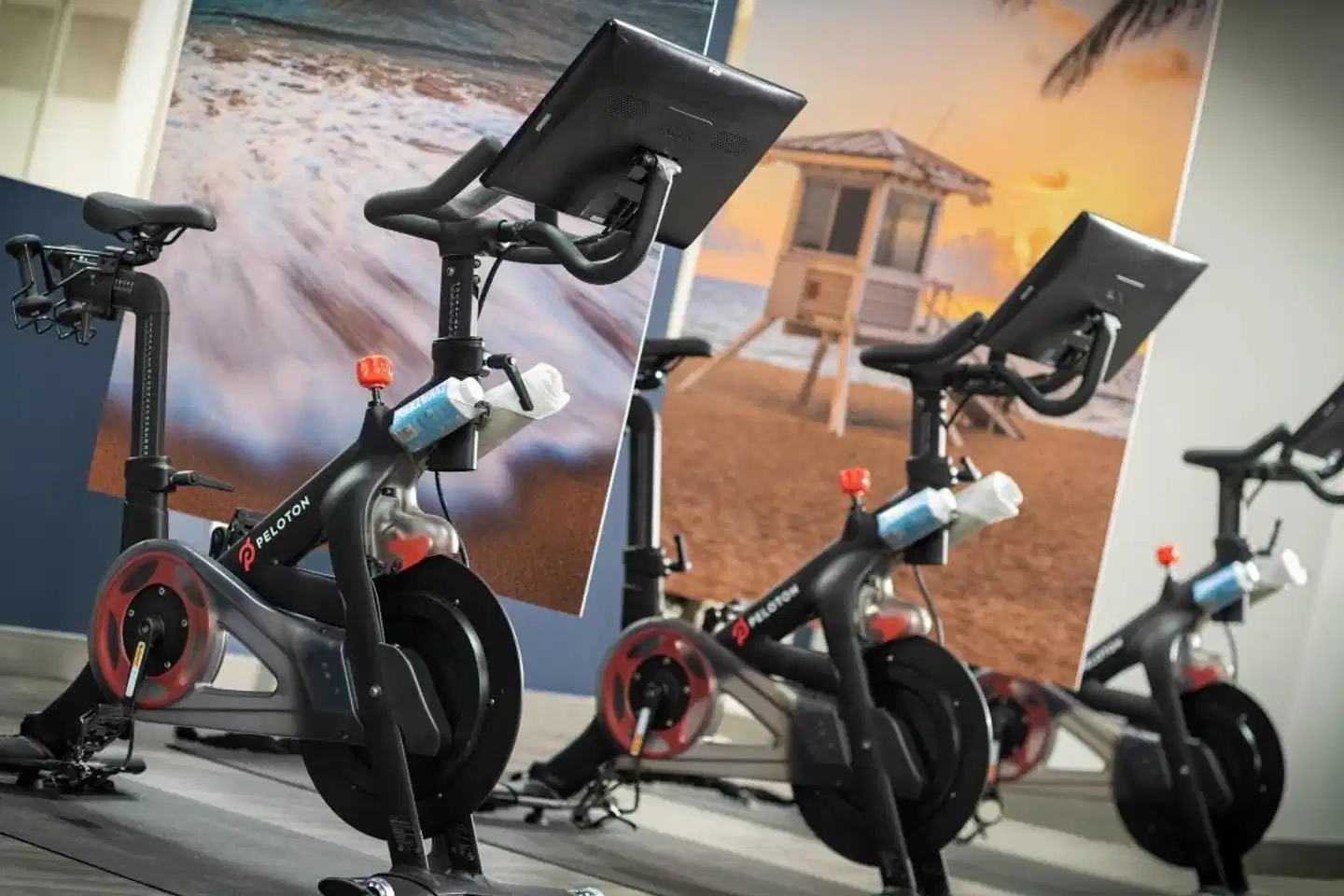 Renaissance Orlando at SeaWorld® Sport und Entertainment