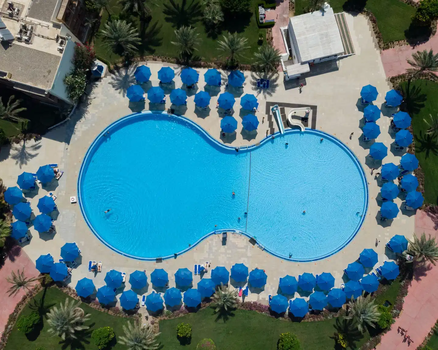 Desert Rose POOL