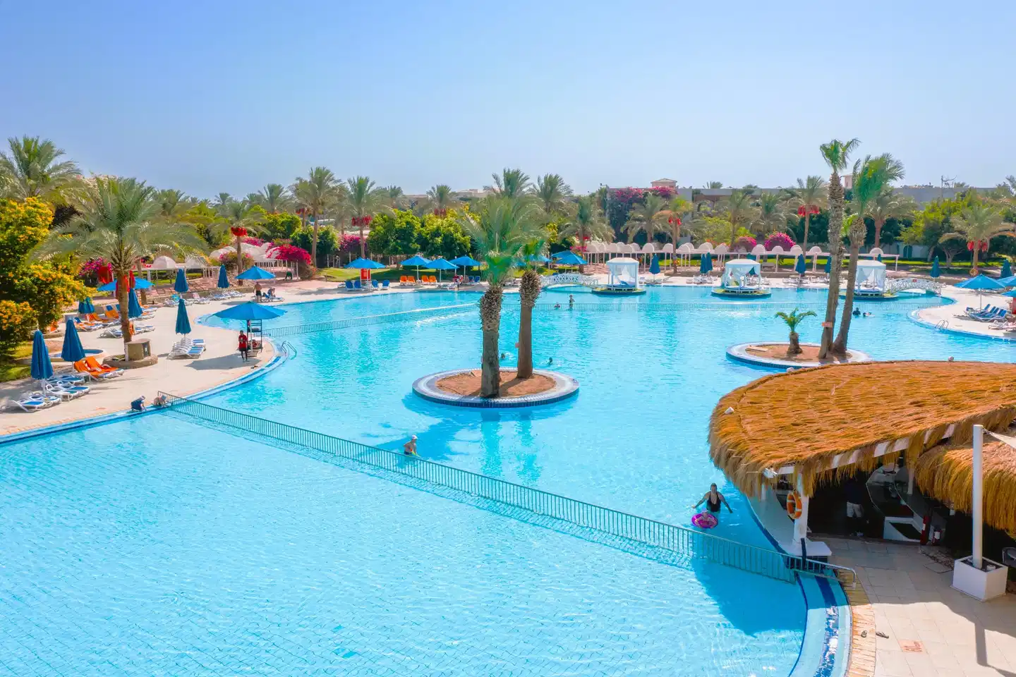 Desert Rose POOL