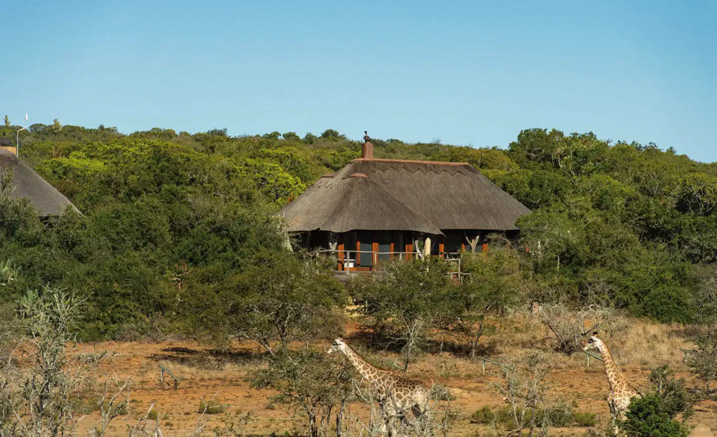 Pumba Private Game Reserve Garten