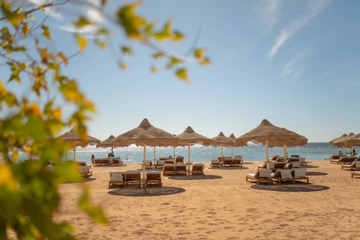 Baron Resort Sharm el Sheikh BEACH