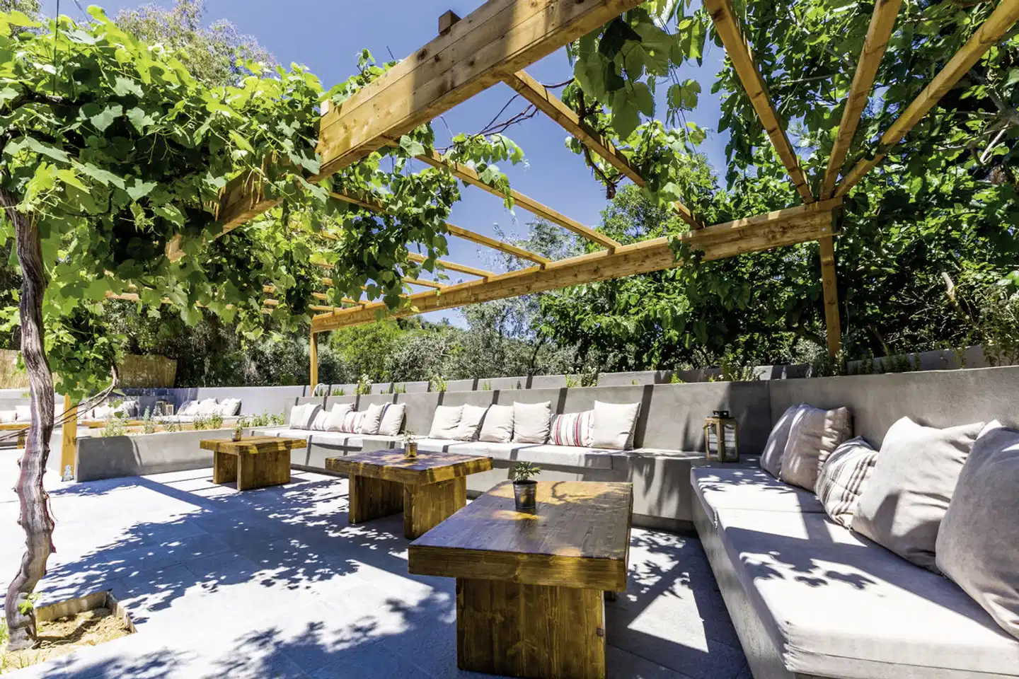 Zoe Terrasse