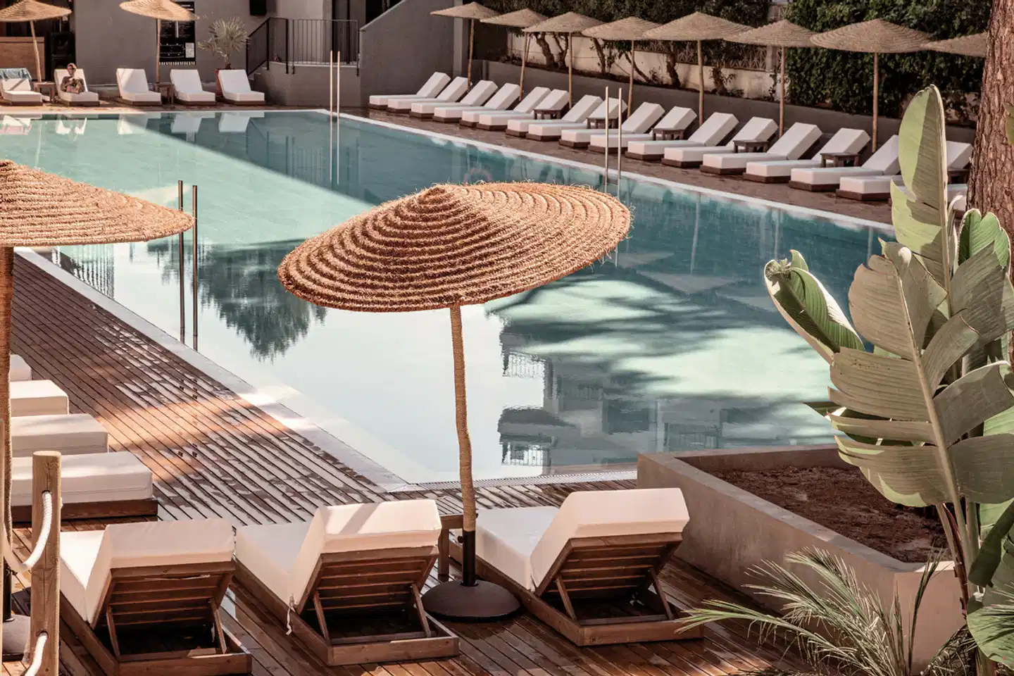 Caramelo Palma Beach INDOOR_POOL