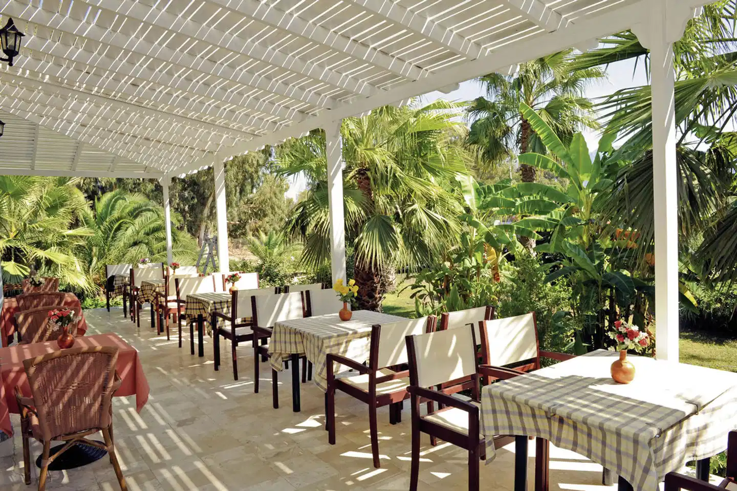 Cavo D'oro Terrasse