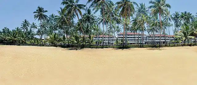 The Blue Water BEACH