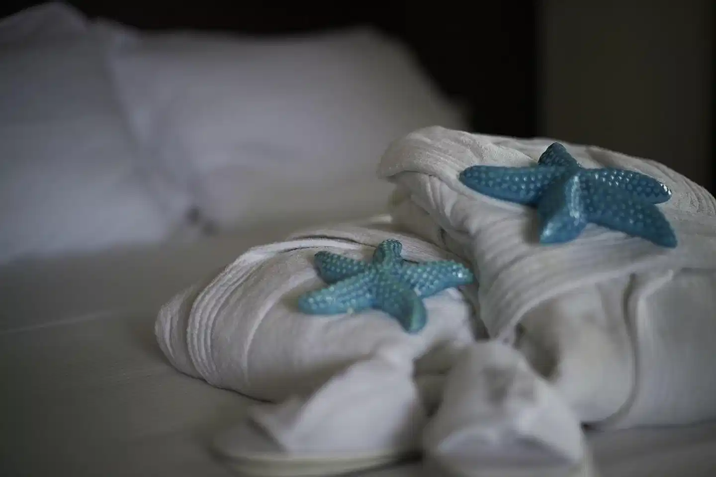 Alisei Palace Hotel Wellness