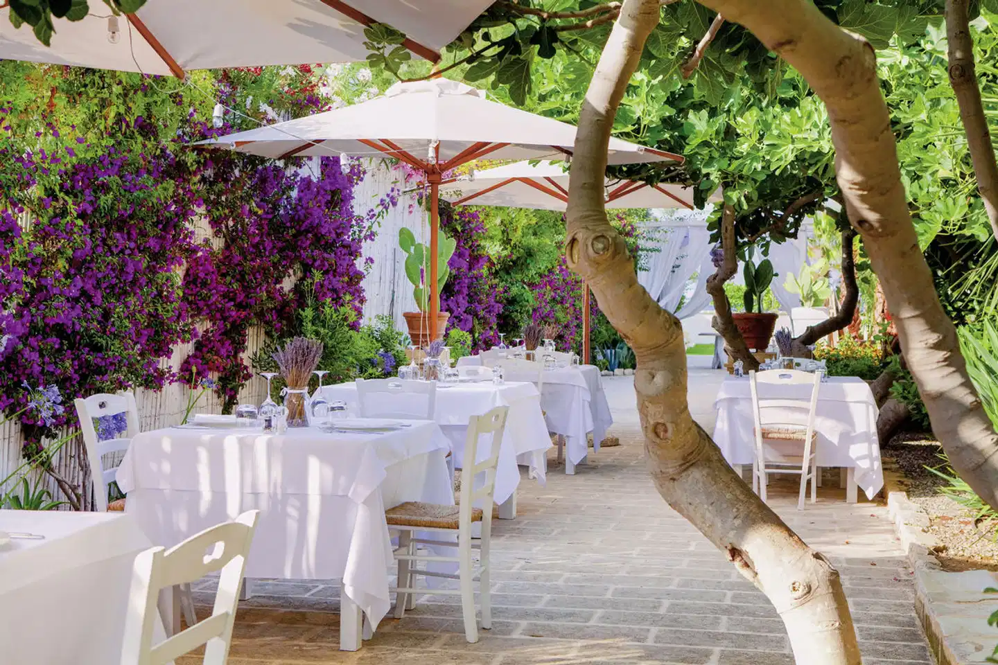 Canne Bianche Lifestyle Hotel RESTAURANT