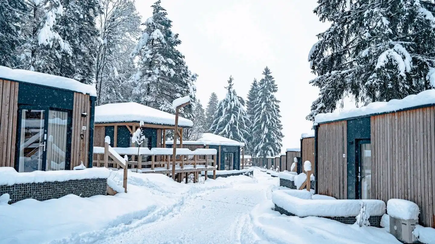 EuroParcs Pressegger See Pool