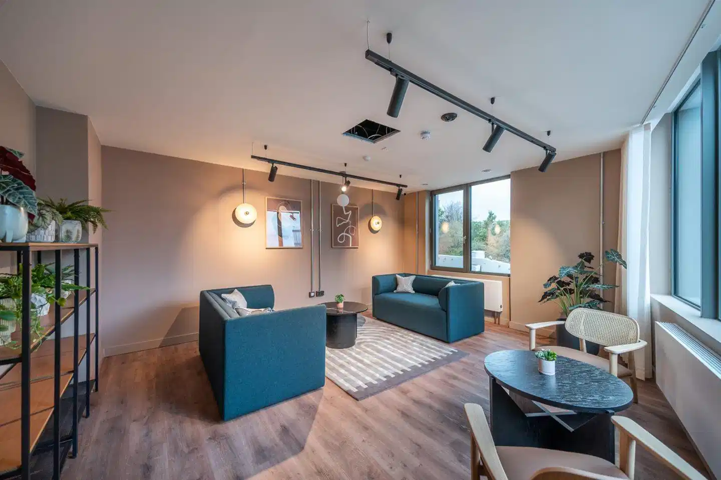 niche living - Dun Laoghaire Wohnbeispiel
