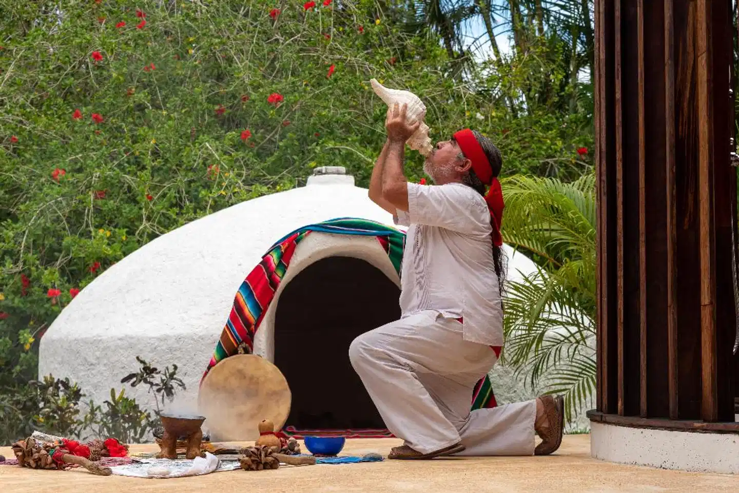 Presidente InterContinental Cozumel Resort & Spa Tiere