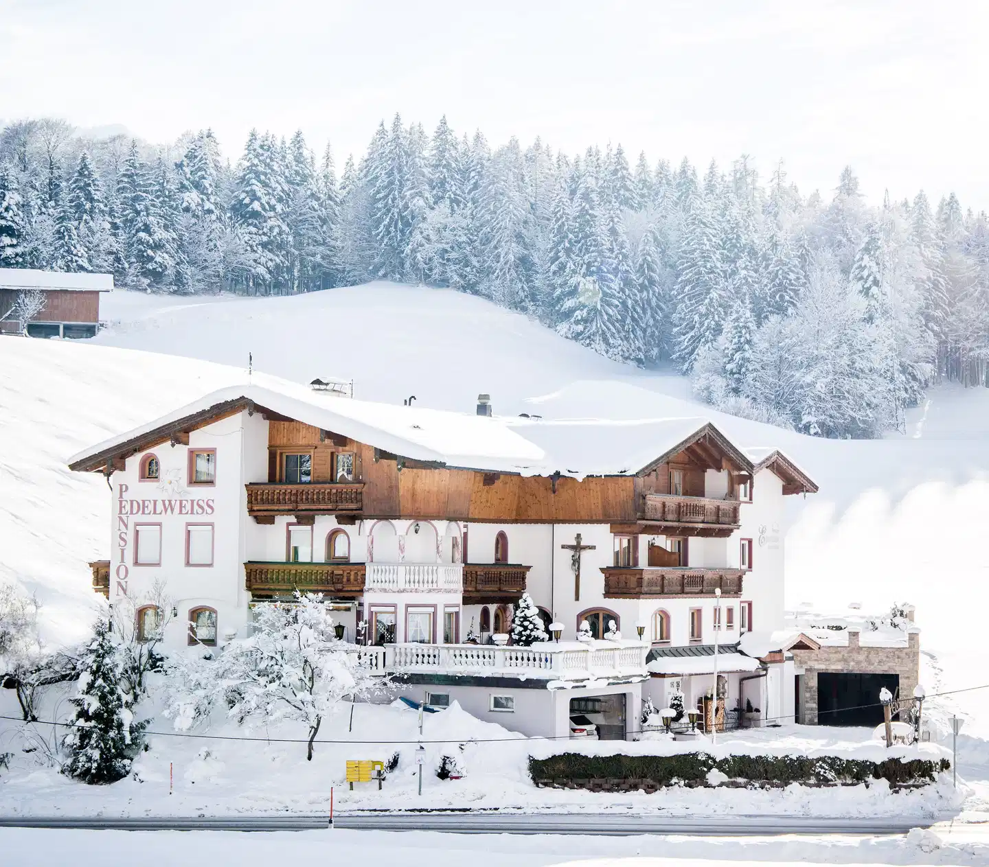 Pension Edelweiss Modellaufnahme