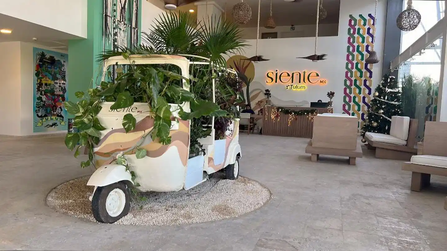 Siente Tulum Sport und Entertainment