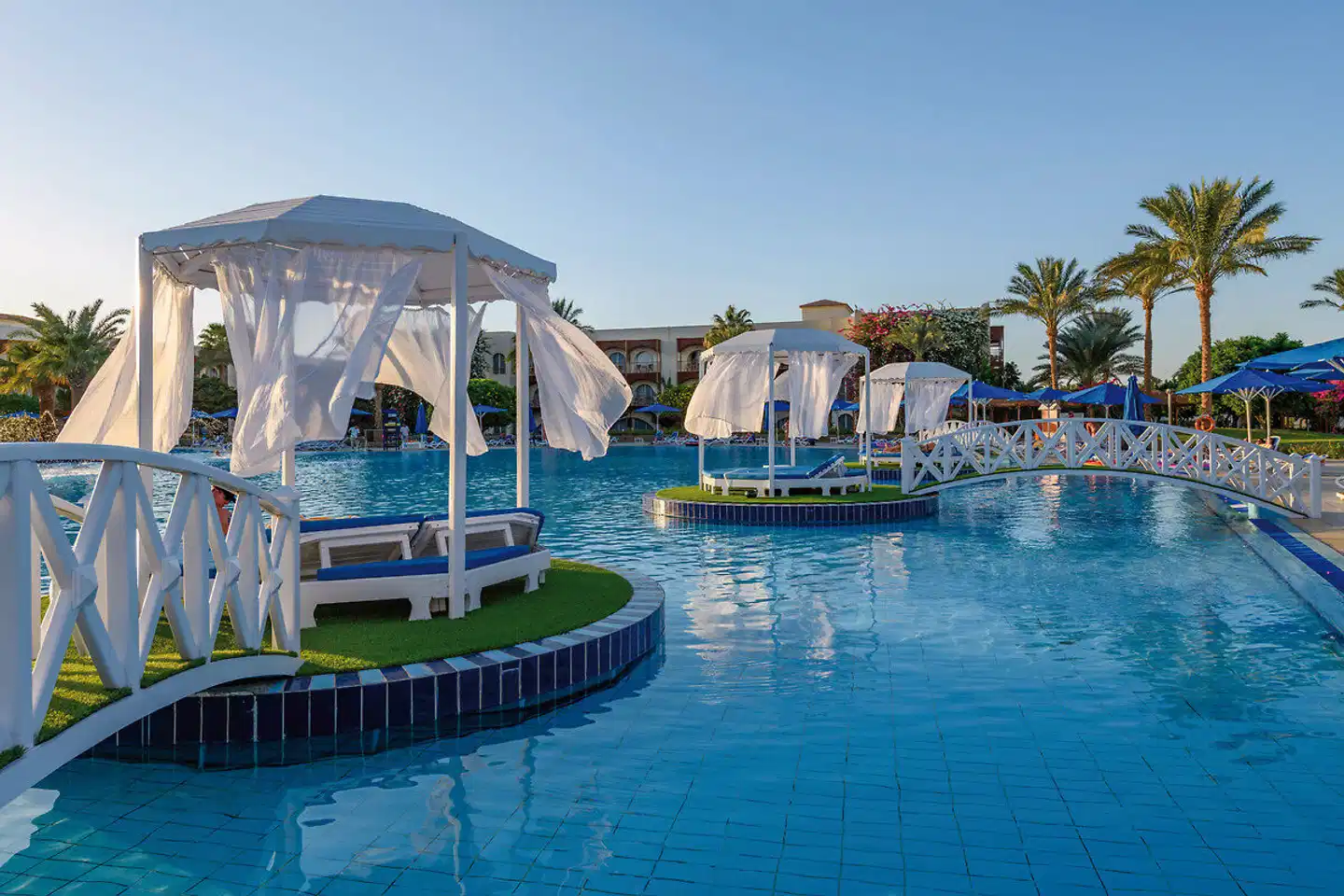 Desert Rose Pool