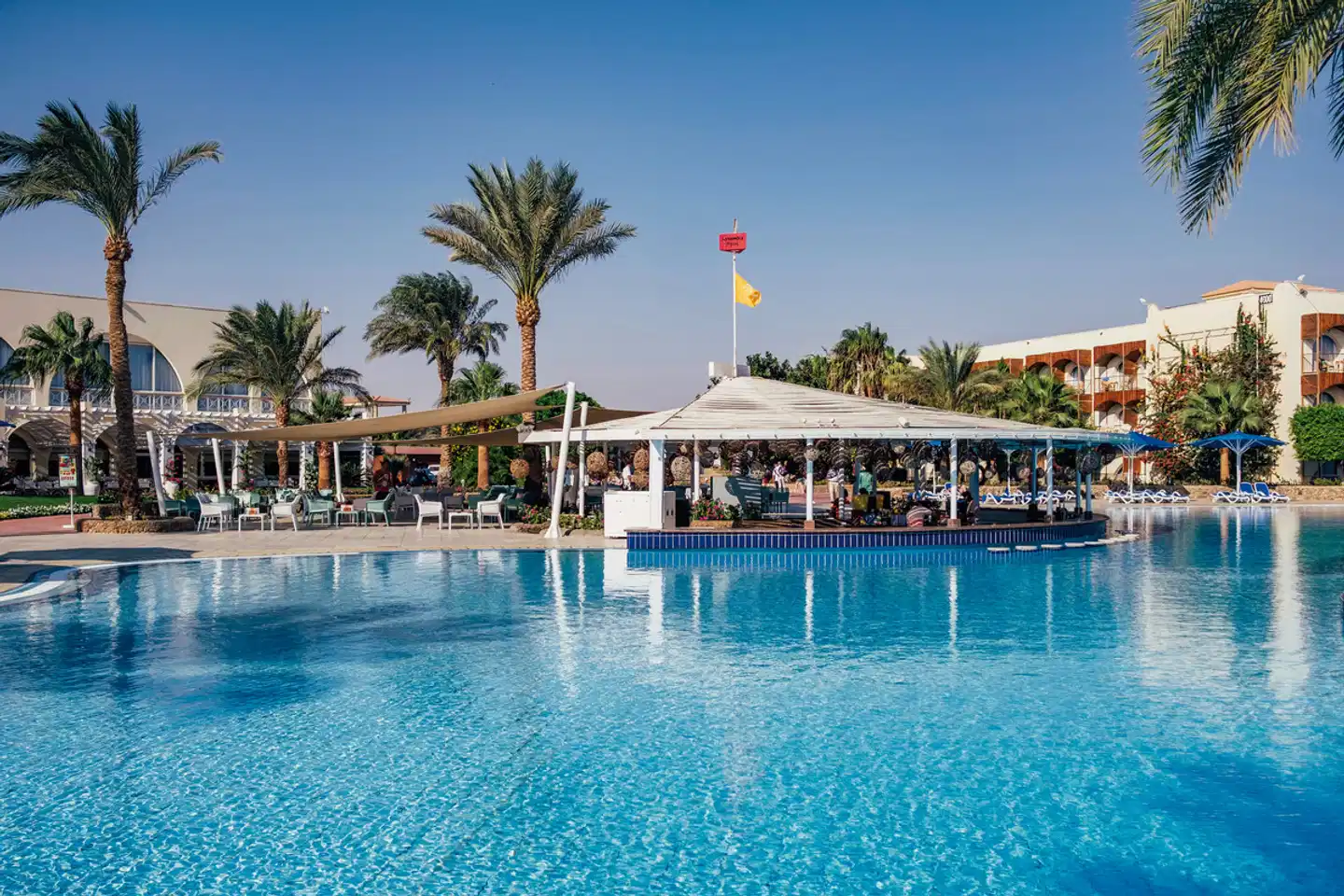 Desert Rose Pool
